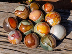 Polished Polychrome Jasper Spheres x 12 From Androka, Madagascar - Toprock Gemstones and Minerals 