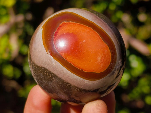 Polished Polychrome Jasper Spheres x 12 From Androka, Madagascar - Toprock Gemstones and Minerals 