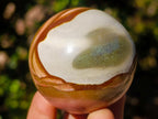 Polished Polychrome Jasper Spheres x 12 From Androka, Madagascar - Toprock Gemstones and Minerals 