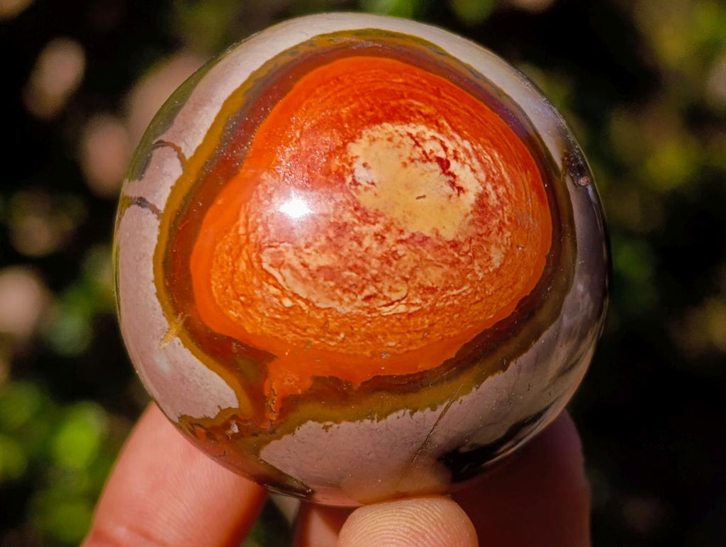 Polished Polychrome Jasper Spheres x 12 From Androka, Madagascar - Toprock Gemstones and Minerals 