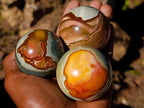 Polished Polychrome Jasper Spheres x 12 From Androka, Madagascar - Toprock Gemstones and Minerals 
