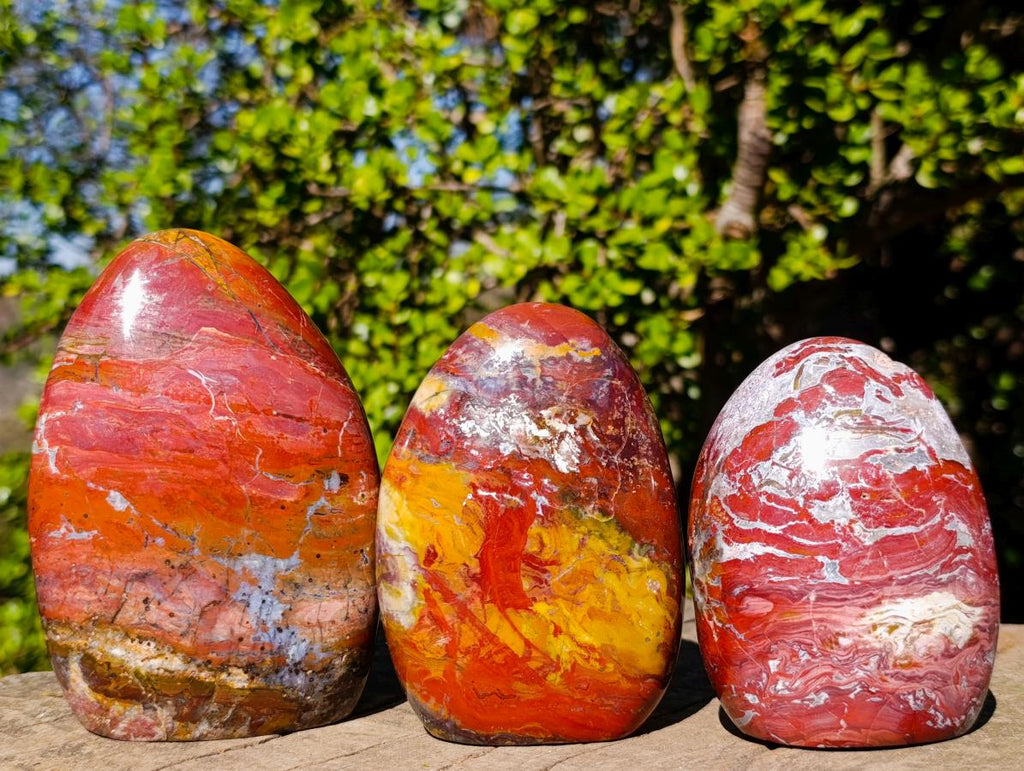 Polished Red Jasper Standing Display Pieces x 3 From Madagascar - Toprock Gemstones and Minerals 
