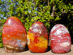 Polished Red Jasper Standing Display Pieces x 3 From Madagascar - Toprock Gemstones and Minerals 