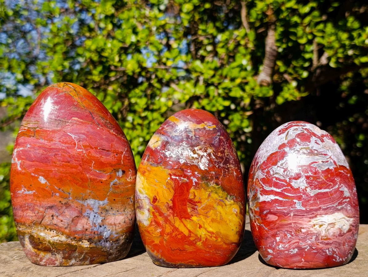 Polished Red Jasper Standing Display Pieces x 3 From Madagascar - Toprock Gemstones and Minerals 