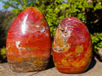 Polished Red Jasper Standing Display Pieces x 3 From Madagascar - Toprock Gemstones and Minerals 