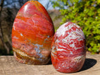 Polished Red Jasper Standing Display Pieces x 3 From Madagascar - Toprock Gemstones and Minerals 