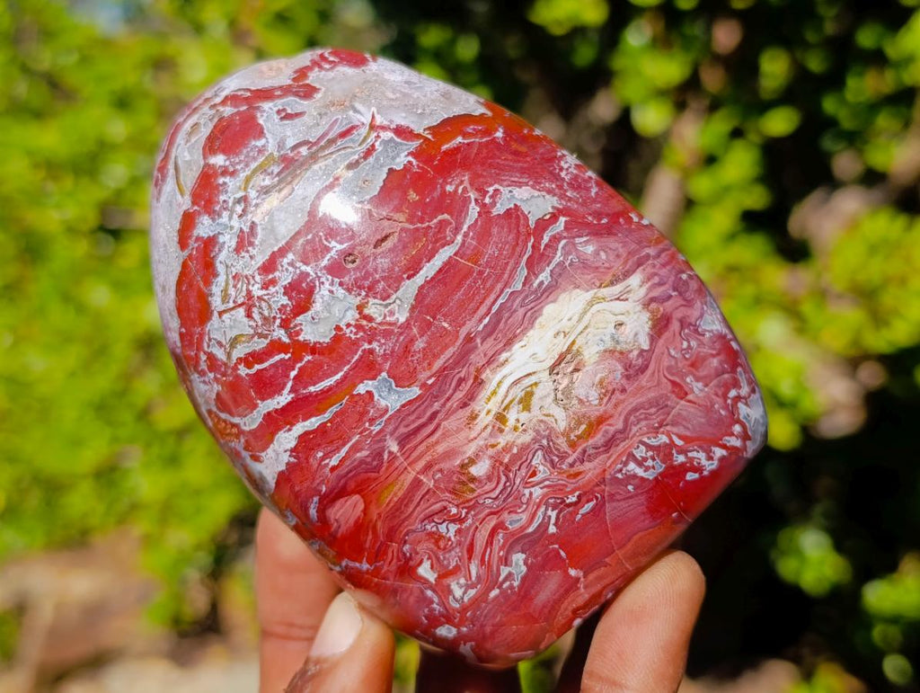 Polished Red Jasper Standing Display Pieces x 3 From Madagascar - Toprock Gemstones and Minerals 