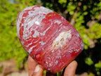 Polished Red Jasper Standing Display Pieces x 3 From Madagascar - Toprock Gemstones and Minerals 