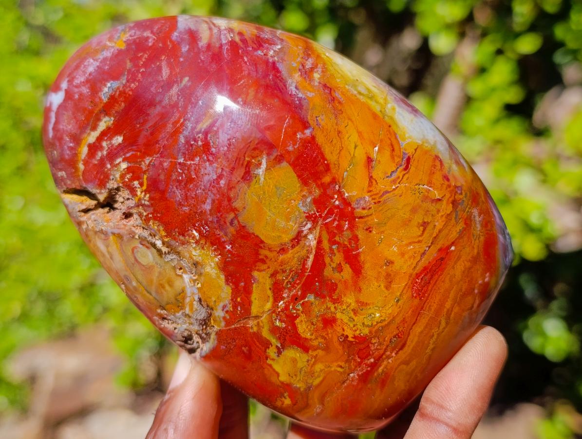 Polished Red Jasper Standing Display Pieces x 3 From Madagascar - Toprock Gemstones and Minerals 