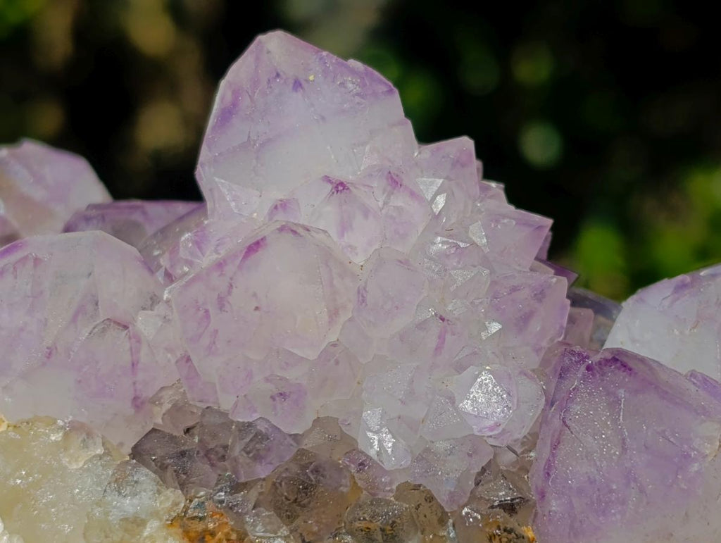 Natural Spirit Amethyst Clusters x 4 From Boekenhouthoek, South Africa - Toprock Gemstones and Minerals 