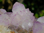 Natural Spirit Amethyst Clusters x 4 From Boekenhouthoek, South Africa - Toprock Gemstones and Minerals 