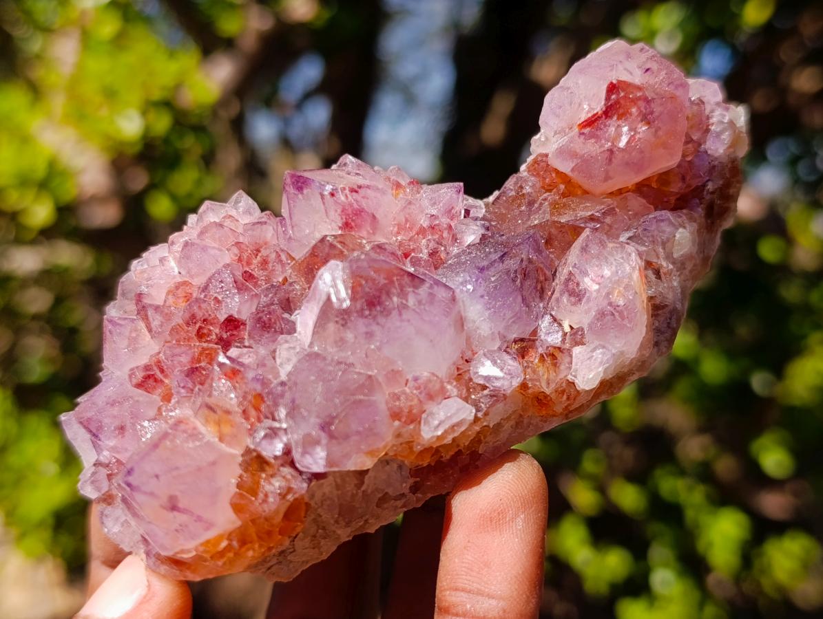 Natural Spirit Amethyst Clusters x 4 From Boekenhouthoek, South Africa - Toprock Gemstones and Minerals 