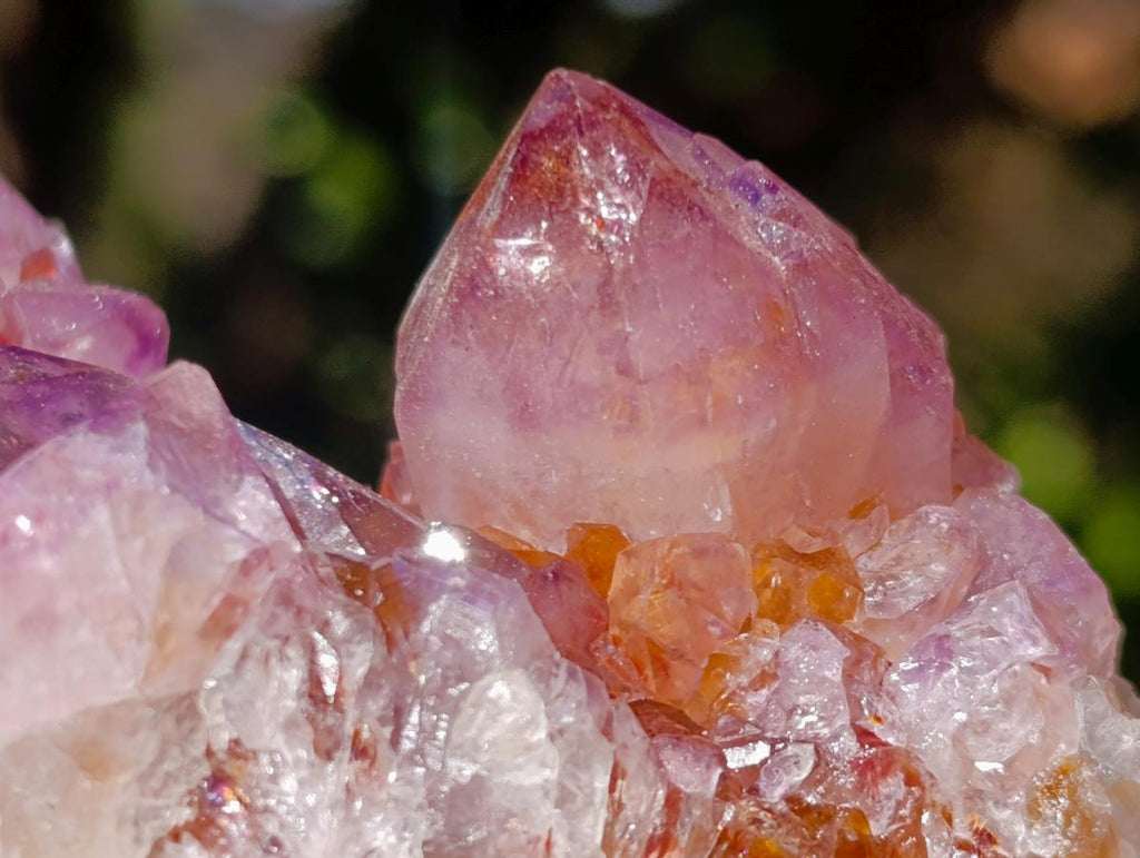 Natural Spirit Amethyst Clusters x 4 From Boekenhouthoek, South Africa - Toprock Gemstones and Minerals 