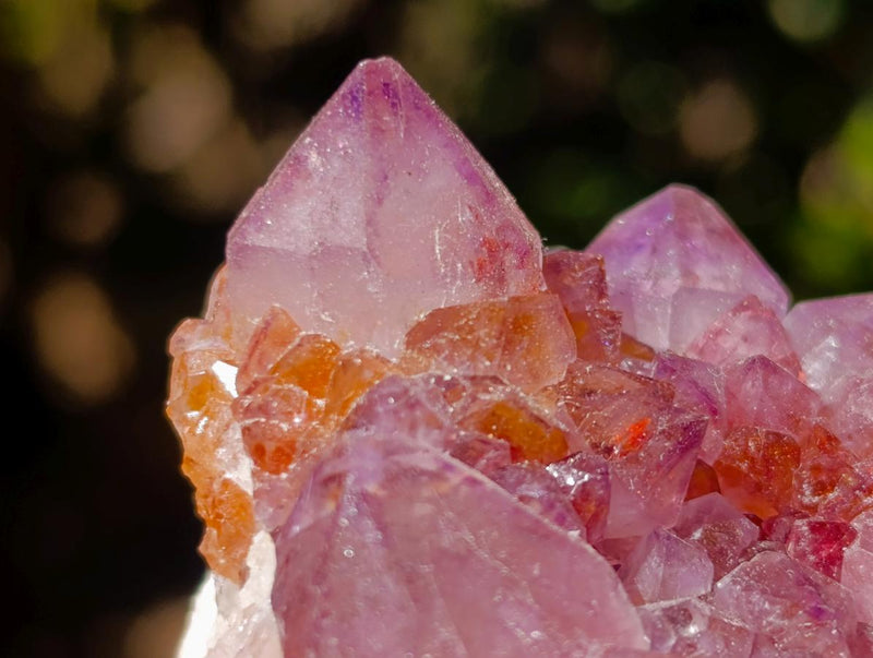 Natural Spirit Amethyst Clusters x 4 From Boekenhouthoek, South Africa - Toprock Gemstones and Minerals 