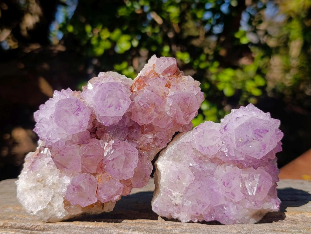 Natural Spirit Amethyst Clusters x 4 From Boekenhouthoek, South Africa - Toprock Gemstones and Minerals 