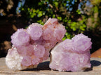 Natural Spirit Amethyst Clusters x 4 From Boekenhouthoek, South Africa - Toprock Gemstones and Minerals 