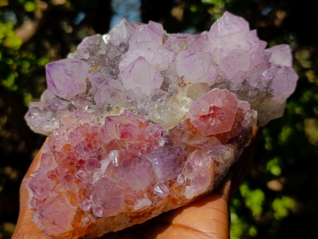 Natural Spirit Amethyst Clusters x 4 From Boekenhouthoek, South Africa - Toprock Gemstones and Minerals 