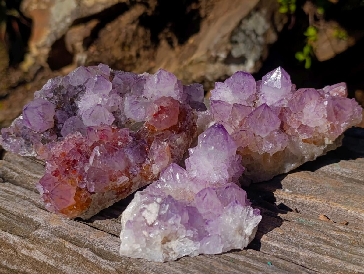 Natural Spirit Amethyst Clusters x 4 From Boekenhouthoek, South Africa - Toprock Gemstones and Minerals 