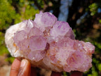 Natural Spirit Amethyst Clusters x 4 From Boekenhouthoek, South Africa - Toprock Gemstones and Minerals 