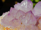 Natural Spirit Amethyst Clusters x 4 From Boekenhouthoek, South Africa - Toprock Gemstones and Minerals 