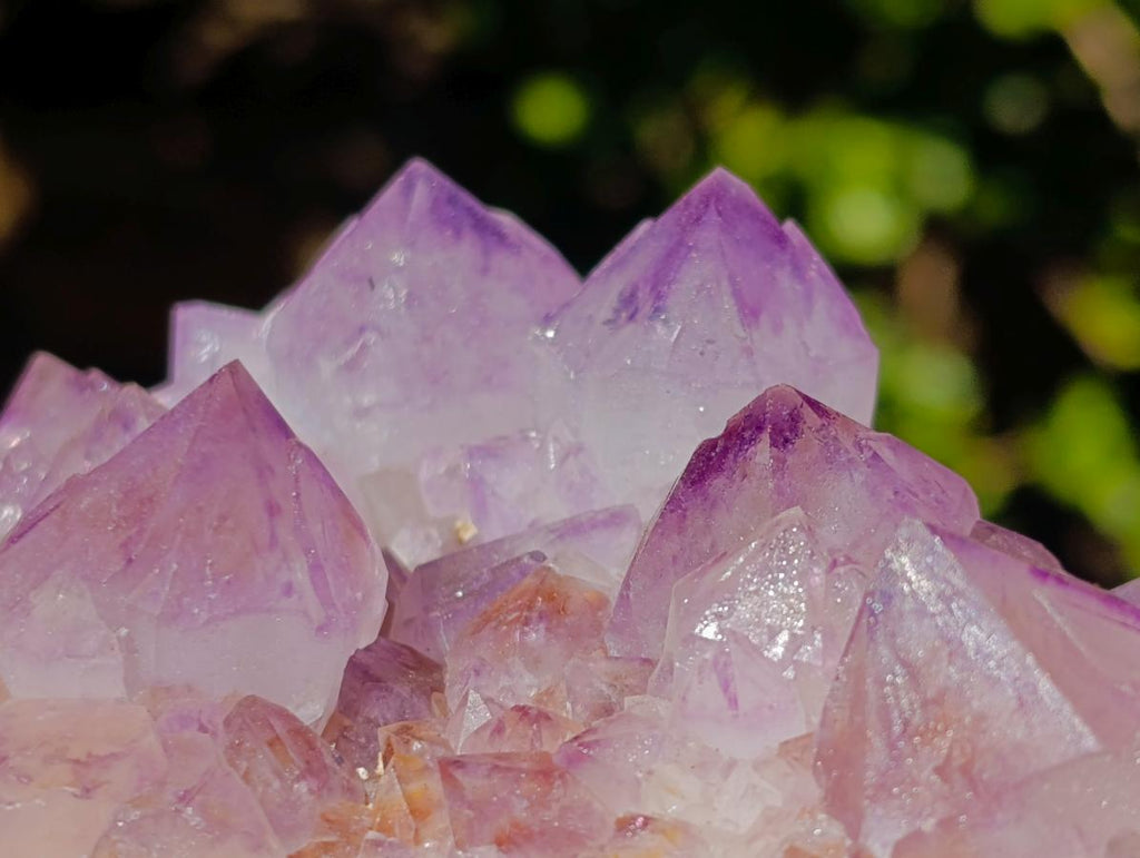 Natural Spirit Amethyst Clusters x 4 From Boekenhouthoek, South Africa - Toprock Gemstones and Minerals 