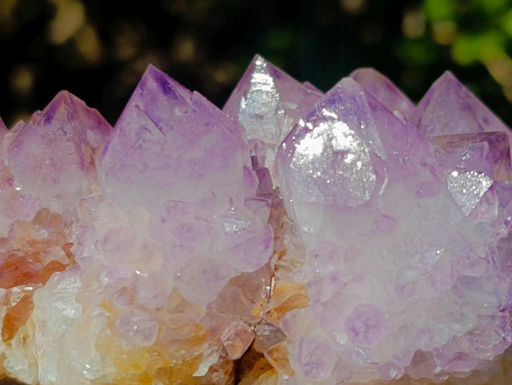 Natural Spirit Amethyst Clusters x 4 From Boekenhouthoek, South Africa - Toprock Gemstones and Minerals 