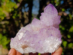 Natural Spirit Amethyst Clusters x 4 From Boekenhouthoek, South Africa - Toprock Gemstones and Minerals 