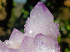 Natural Spirit Amethyst Clusters x 4 From Boekenhouthoek, South Africa - Toprock Gemstones and Minerals 