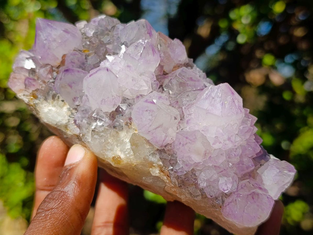 Natural Spirit Amethyst Clusters x 4 From Boekenhouthoek, South Africa - Toprock Gemstones and Minerals 