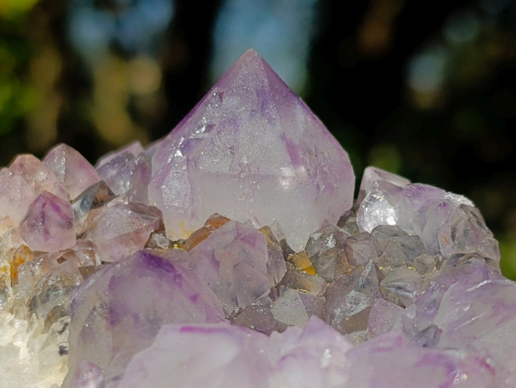 Natural Spirit Amethyst Clusters x 4 From Boekenhouthoek, South Africa - Toprock Gemstones and Minerals 