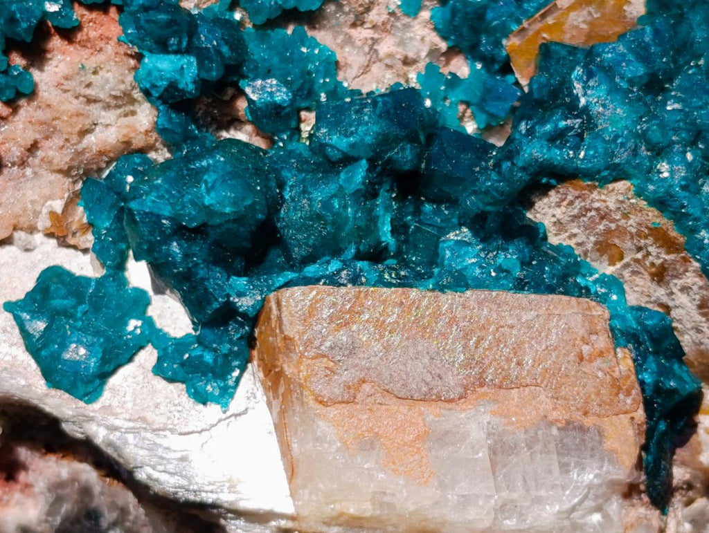 Natural Large Cabinet Size Dioptase on Dolomite Specimen x 1 From Mashamba East Mine, Congo - Toprock Gemstones and Minerals 