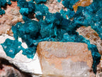 Natural Large Cabinet Size Dioptase on Dolomite Specimen x 1 From Mashamba East Mine, Congo - Toprock Gemstones and Minerals 