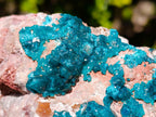 Natural Large Cabinet Size Dioptase on Dolomite Specimen x 1 From Mashamba East Mine, Congo - Toprock Gemstones and Minerals 