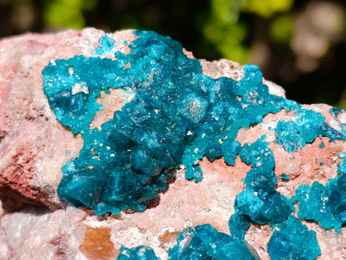 Natural Large Cabinet Size Dioptase on Dolomite Specimen x 1 From Mashamba East Mine, Congo - Toprock Gemstones and Minerals 