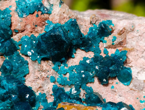 Natural Large Cabinet Size Dioptase on Dolomite Specimen x 1 From Mashamba East Mine, Congo - Toprock Gemstones and Minerals 
