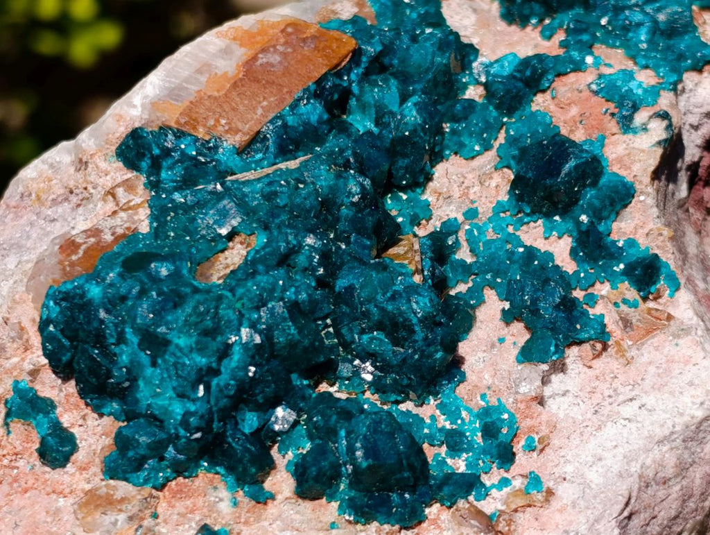 Natural Large Cabinet Size Dioptase on Dolomite Specimen x 1 From Mashamba East Mine, Congo - Toprock Gemstones and Minerals 