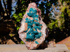 Natural Large Cabinet Size Dioptase on Dolomite Specimen x 1 From Mashamba East Mine, Congo - Toprock Gemstones and Minerals 