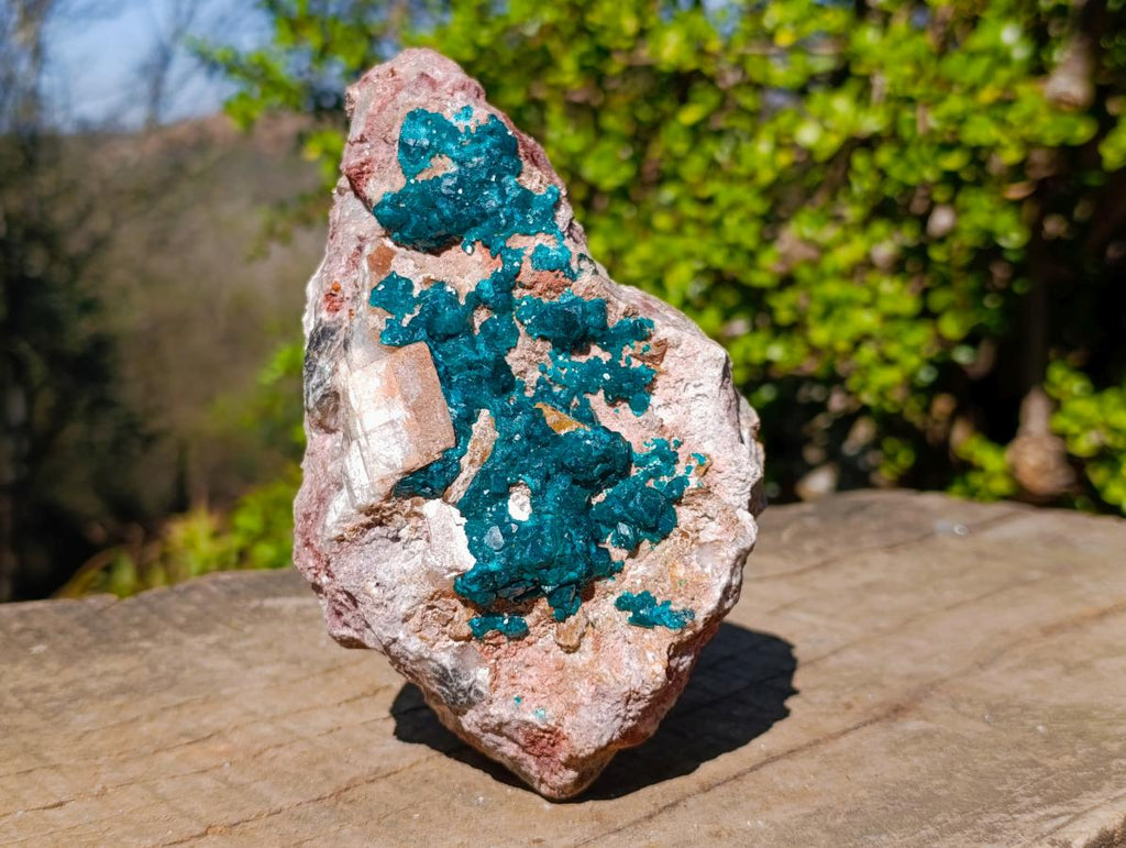 Natural Large Cabinet Size Dioptase on Dolomite Specimen x 1 From Mashamba East Mine, Congo - Toprock Gemstones and Minerals 