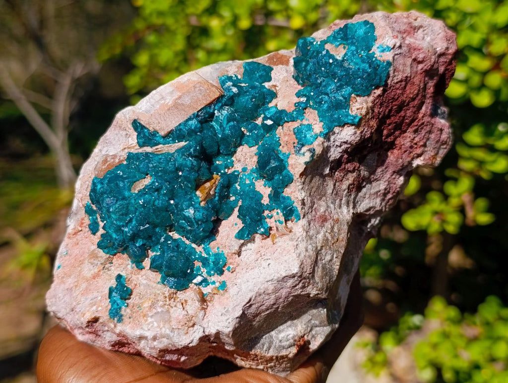 Natural Large Cabinet Size Dioptase on Dolomite Specimen x 1 From Mashamba East Mine, Congo - Toprock Gemstones and Minerals 