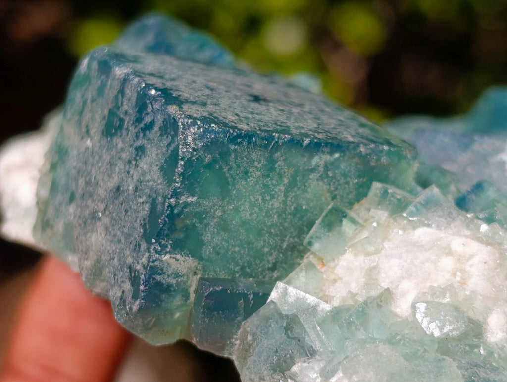 Natural Green Cubic Fluorite Specimens x 5 From Mandrosonoro, Madagascar - Toprock Gemstones and Minerals 