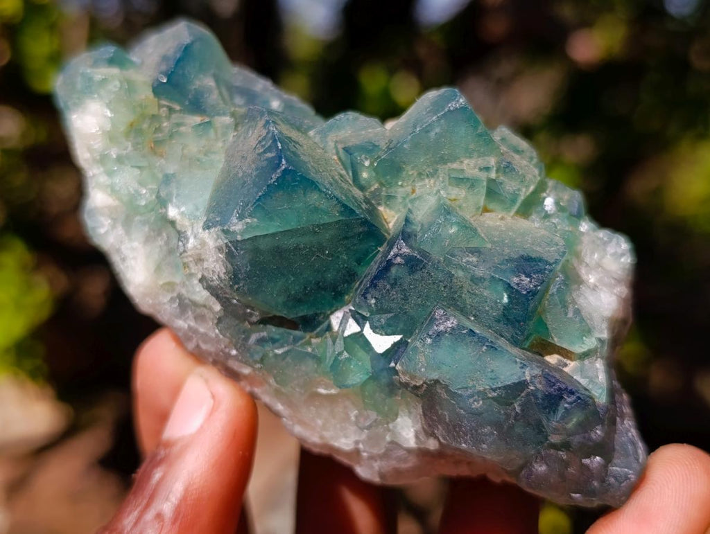 Natural Green Cubic Fluorite Specimens x 5 From Mandrosonoro, Madagascar - Toprock Gemstones and Minerals 