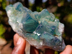 Natural Green Cubic Fluorite Specimens x 5 From Mandrosonoro, Madagascar - Toprock Gemstones and Minerals 