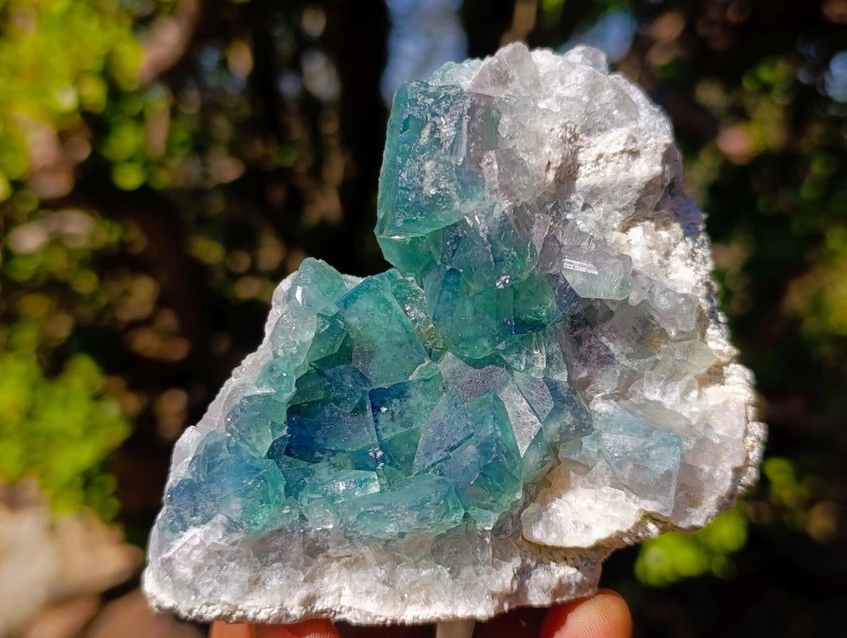 Natural Green Cubic Fluorite Specimens x 5 From Mandrosonoro, Madagascar - Toprock Gemstones and Minerals 