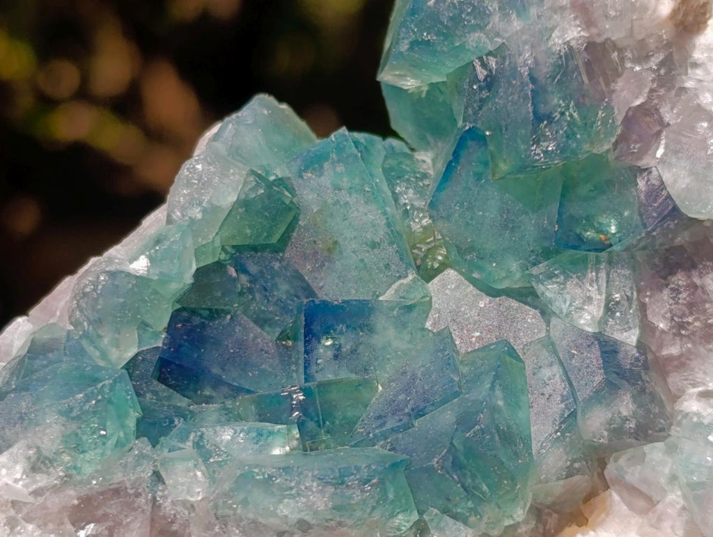 Natural Green Cubic Fluorite Specimens x 5 From Mandrosonoro, Madagascar - Toprock Gemstones and Minerals 