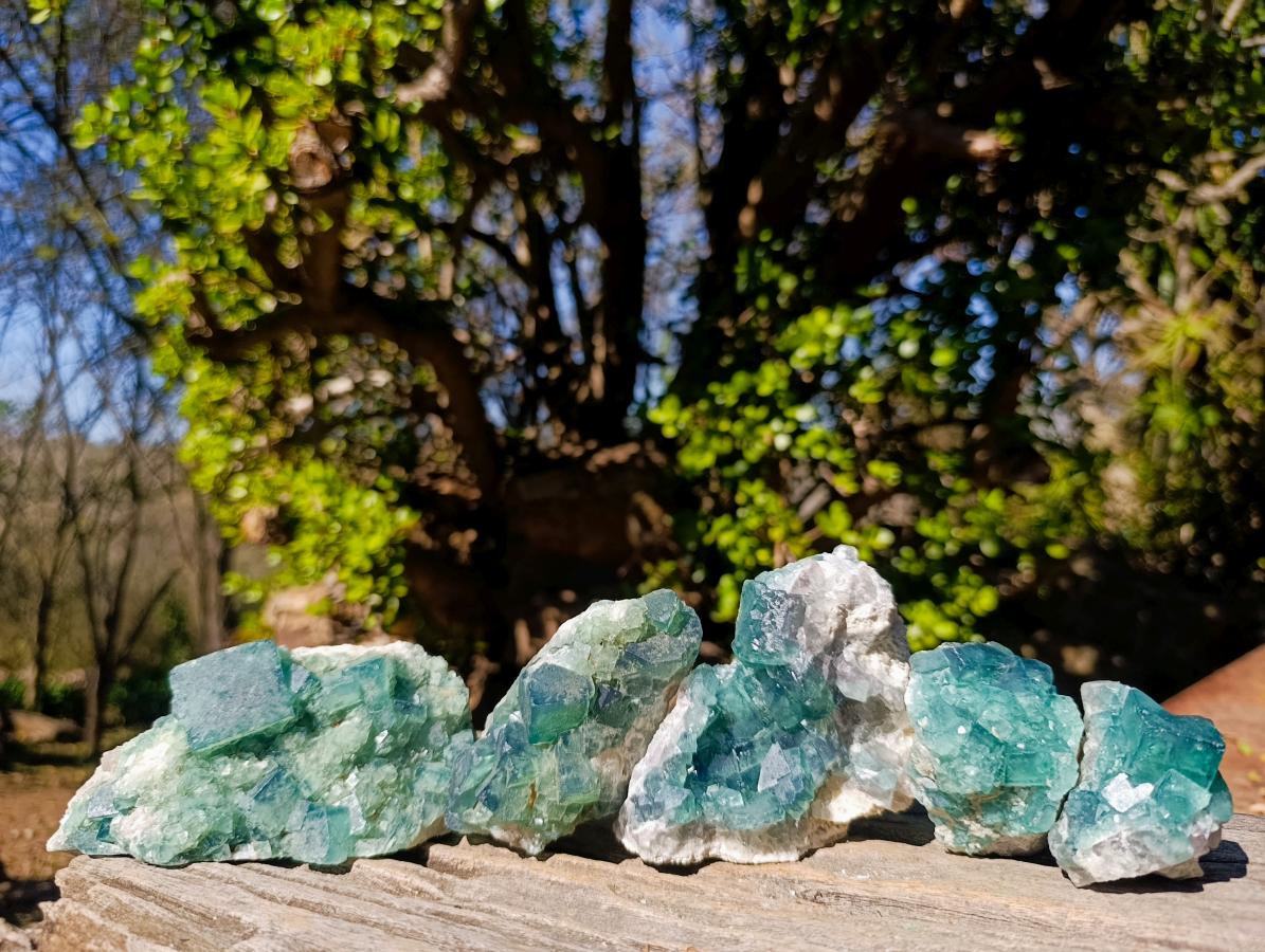 Natural Green Cubic Fluorite Specimens x 5 From Mandrosonoro, Madagascar - Toprock Gemstones and Minerals 