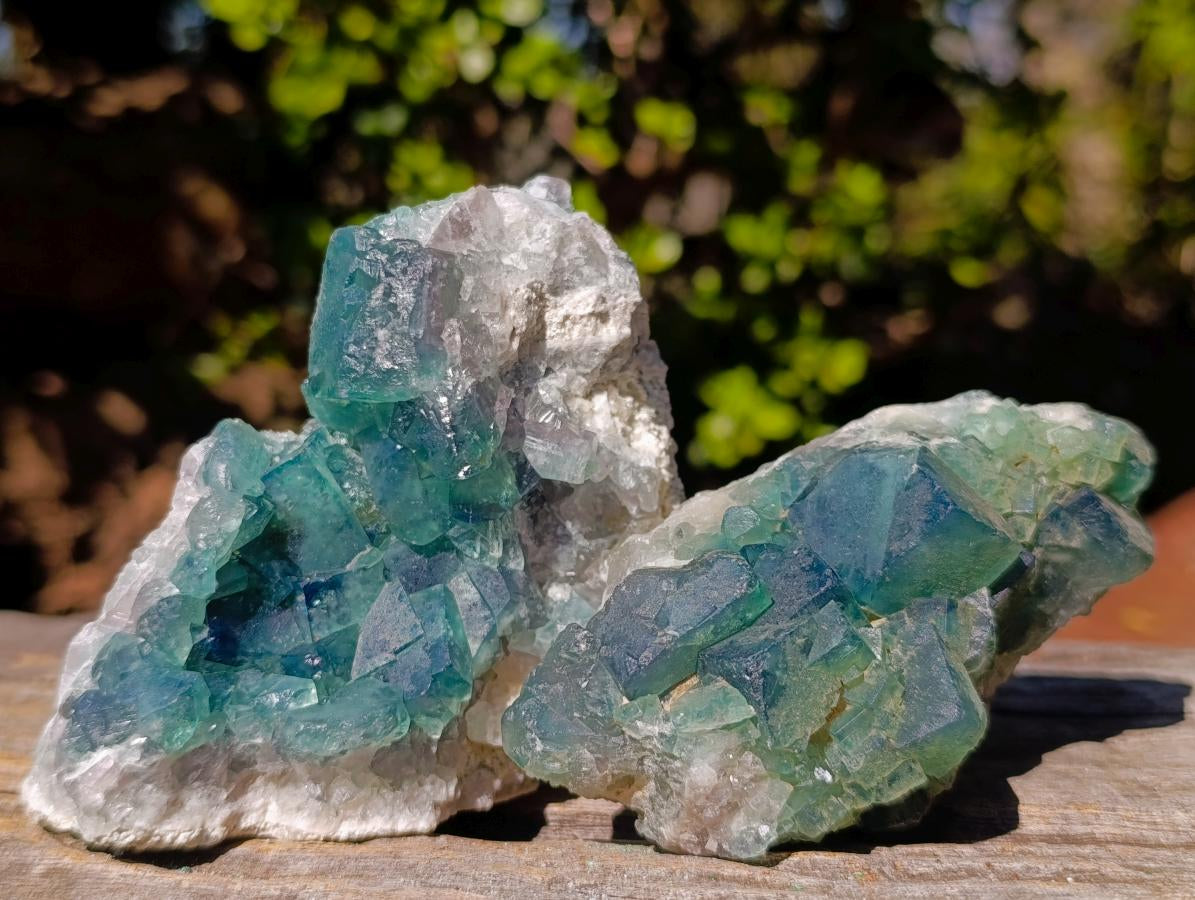 Natural Green Cubic Fluorite Specimens x 5 From Mandrosonoro, Madagascar - Toprock Gemstones and Minerals 