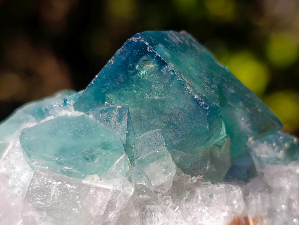 Natural Green Cubic Fluorite Specimens x 5 From Mandrosonoro, Madagascar - Toprock Gemstones and Minerals 