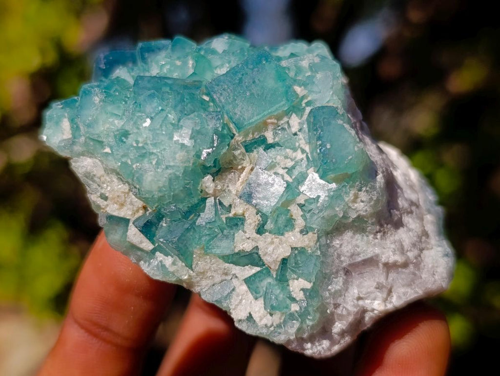 Natural Green Cubic Fluorite Specimens x 5 From Mandrosonoro, Madagascar - Toprock Gemstones and Minerals 