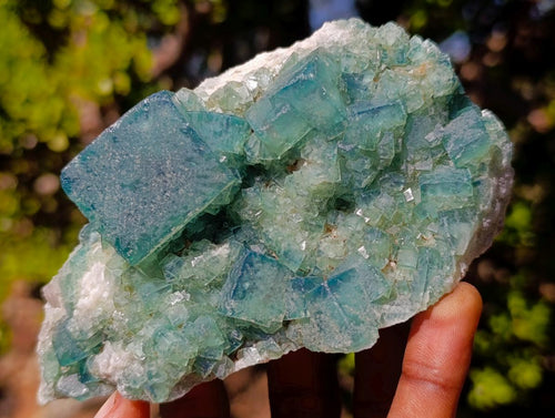 Natural Green Cubic Fluorite Specimens x 5 From Mandrosonoro, Madagascar - Toprock Gemstones and Minerals 