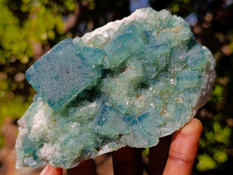 Natural Green Cubic Fluorite Specimens x 5 From Mandrosonoro, Madagascar - Toprock Gemstones and Minerals 